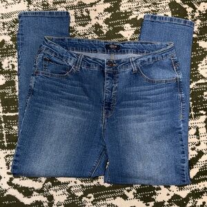 Curve Appeal High Rise Comfort Waist Skinny Jeans